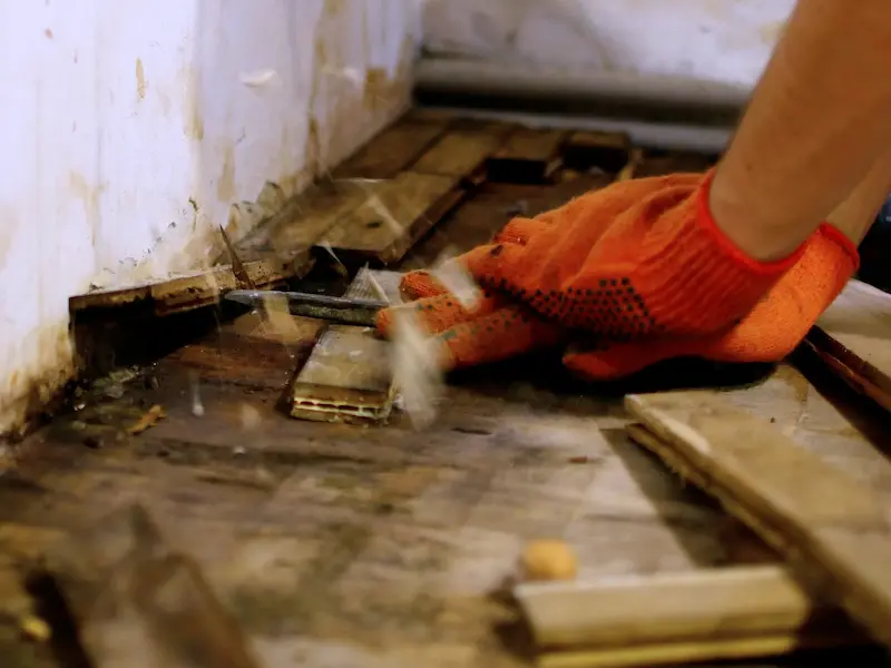 Mold abatement and prevention Sherman Oaks CA